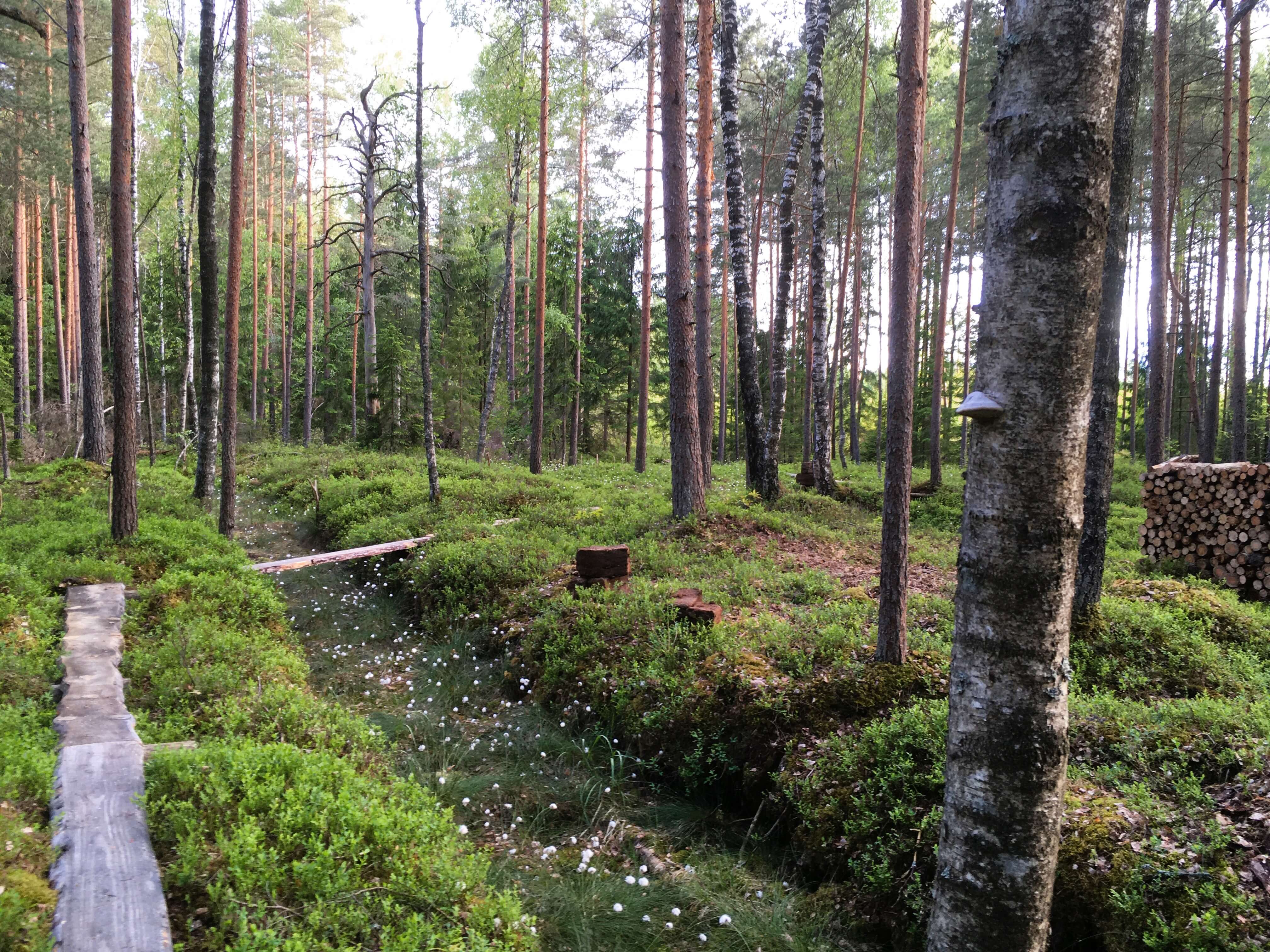 Matkarada